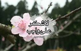 رد على شكرا