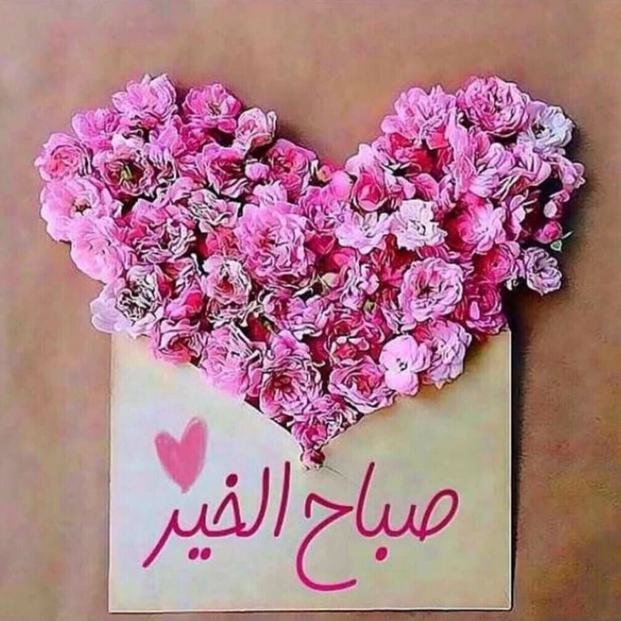 رد على صباح الخير