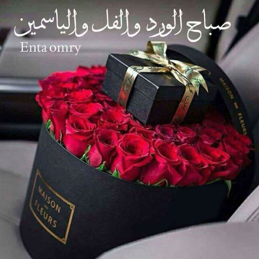 رد على صباح الخير