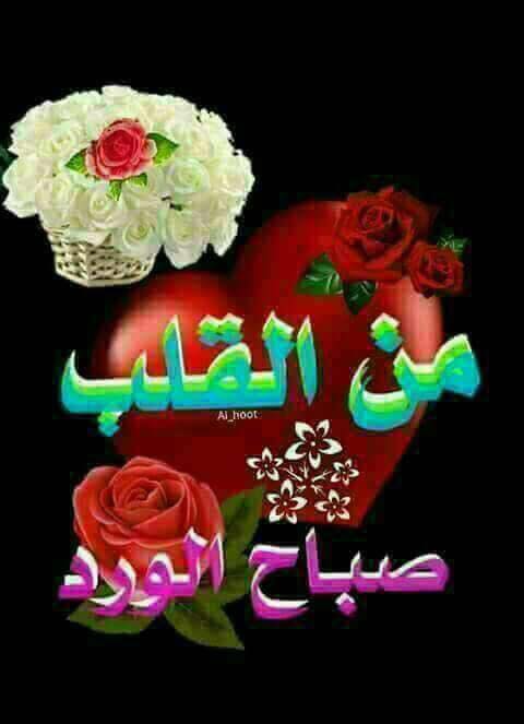 رد على صباح الورد