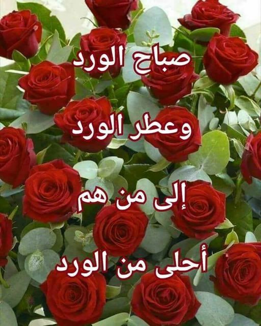 رد على صباح الورد