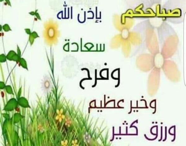 رد على صباح الورد