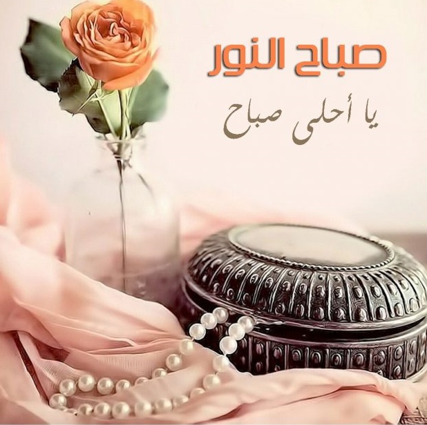 رد على صباح الورد
