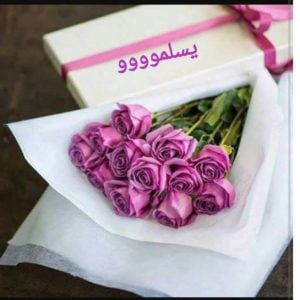 رد على صدقت