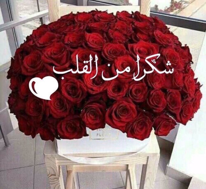 رد على صدقت