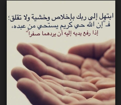 رد على ضالتي