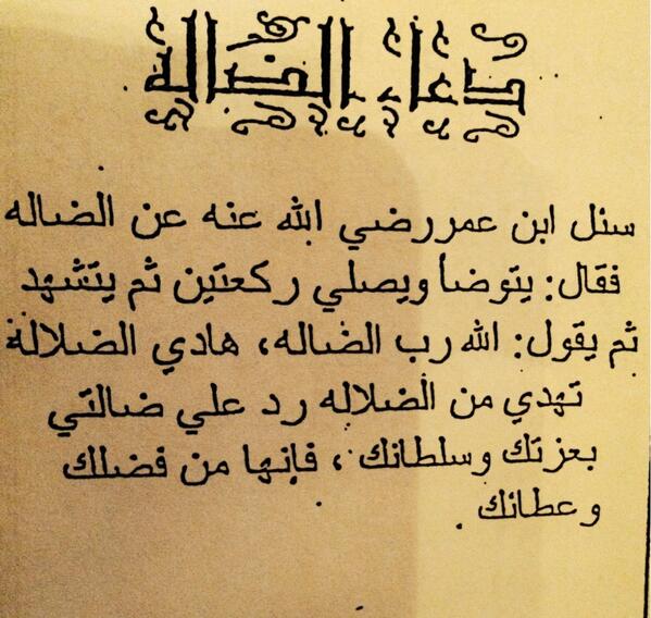 رد على ضالتي