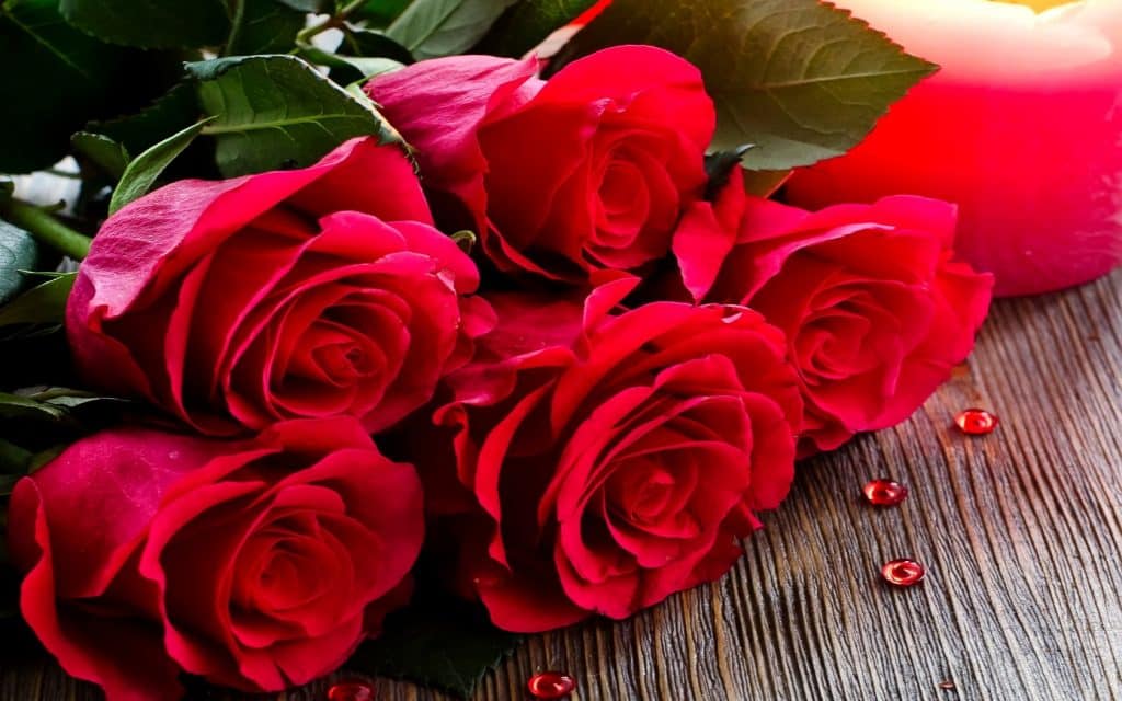 رد على طمنيني عنك