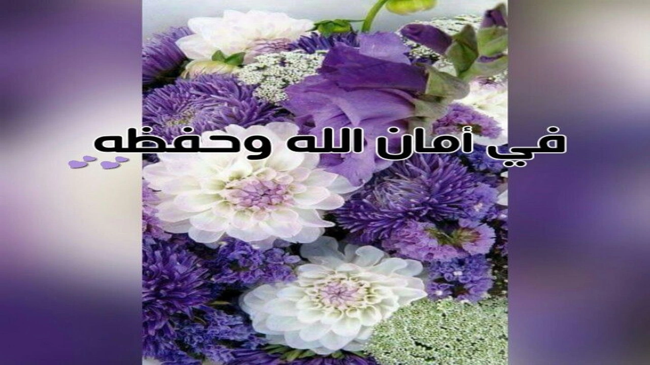 صورة رد على في امان الله