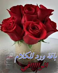 رد على كلام جميل