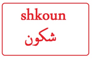 رد على كلمة شكون