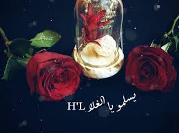 رد على نورتي