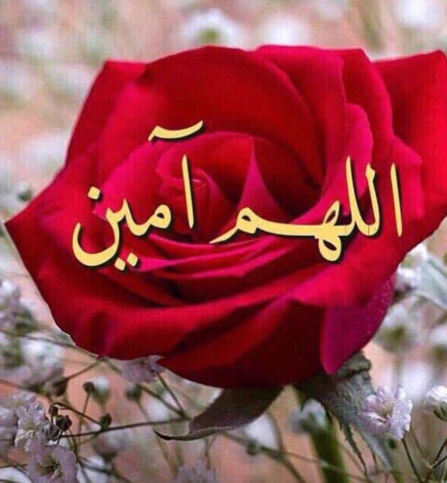 رد على وياك