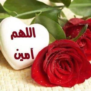 رد على وياك