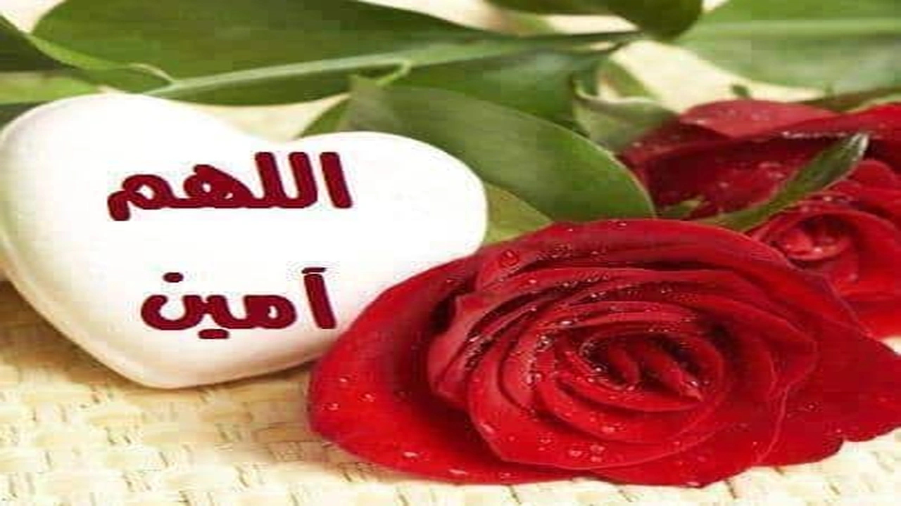 صورة رد على وياك