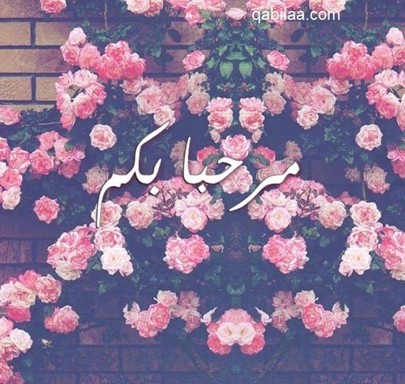 رد على يامرحبا