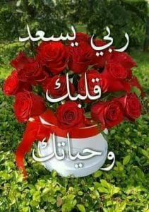 رد على يسعد قلبك