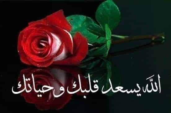 رد على يسعد قلبك