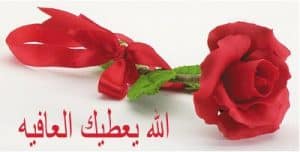 رد على يعطيك العافيه