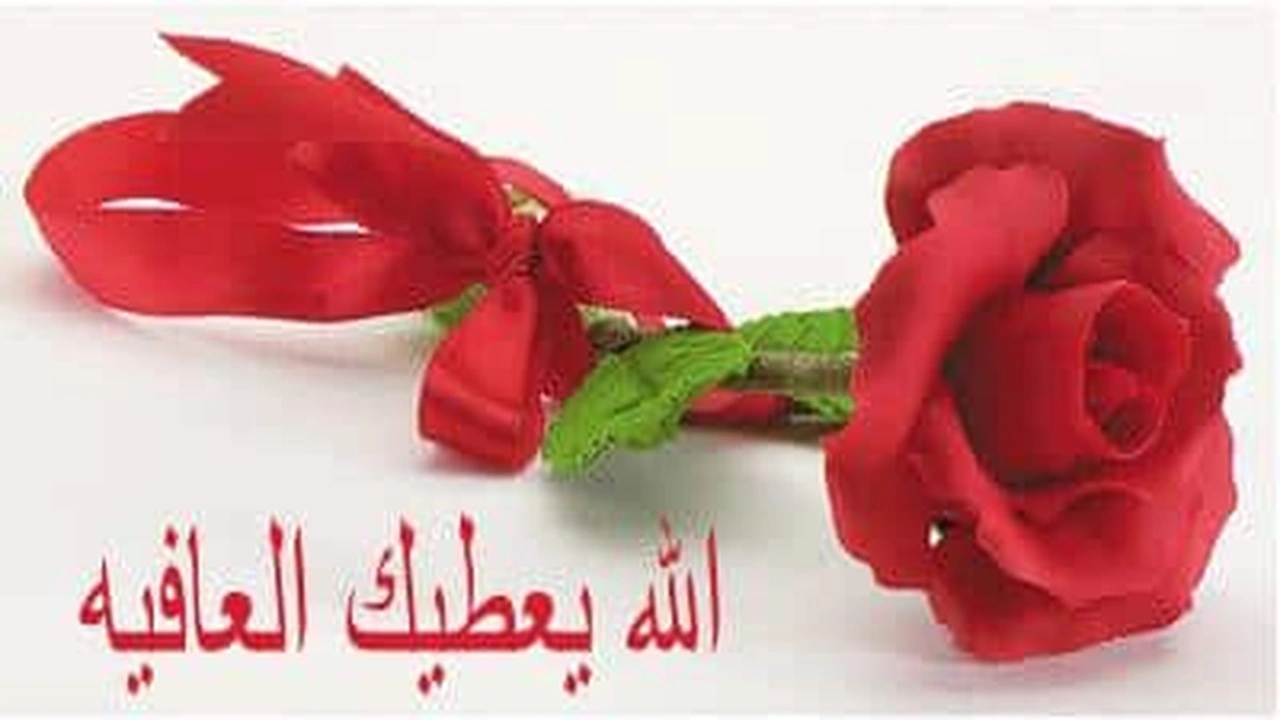 صورة رد على يعطيك العافيه