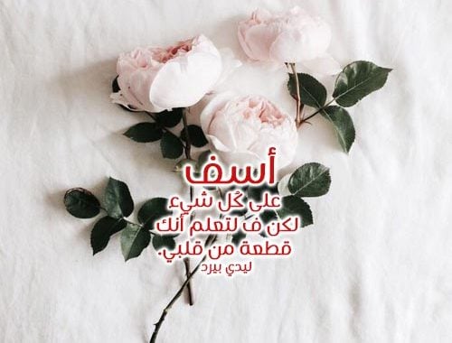رسائل اعتذار رومانسية