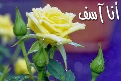 رسائل اعتذار رومانسية