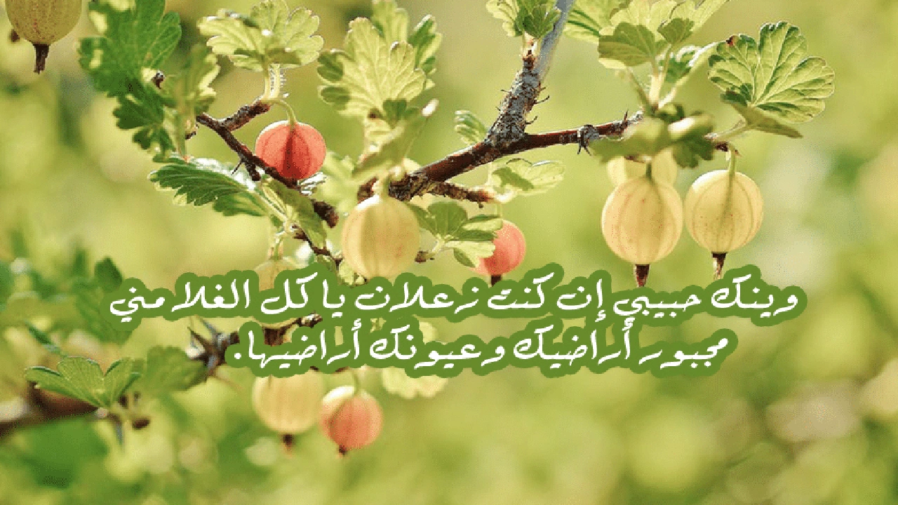 صورة رسائل اعتذار طويلة للتعبير