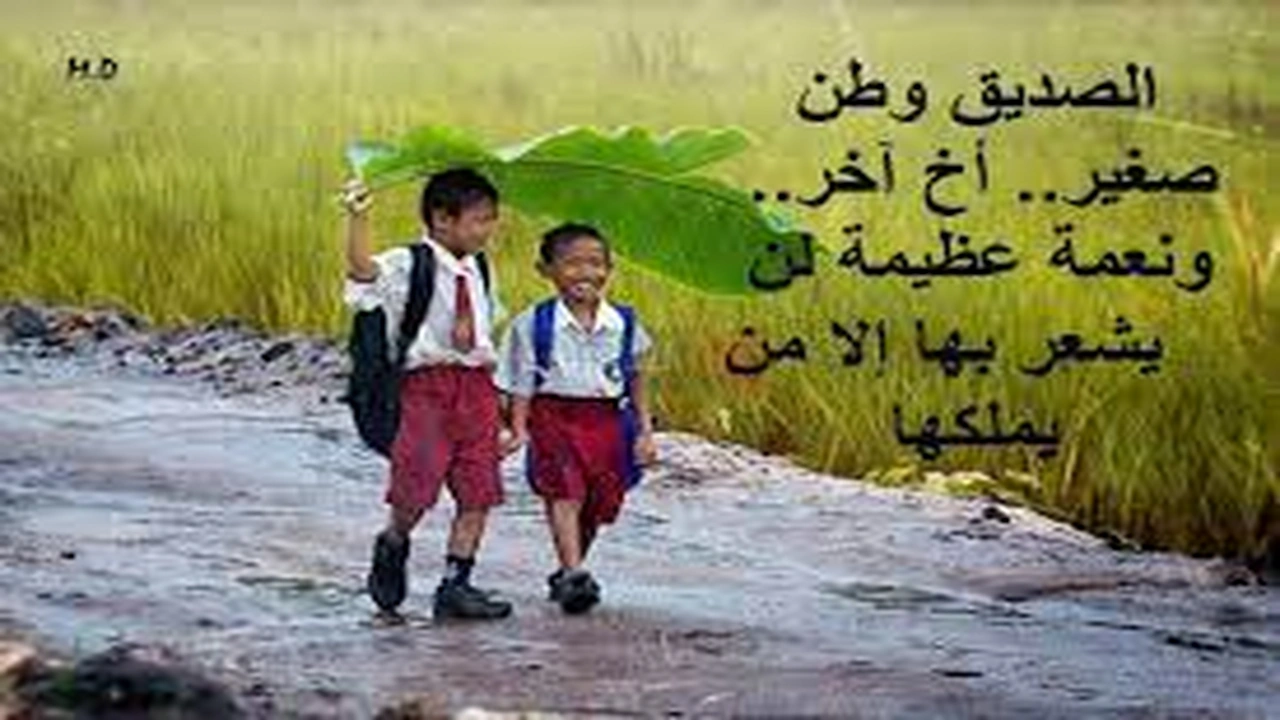 صورة رسائل اهتمام بصديق