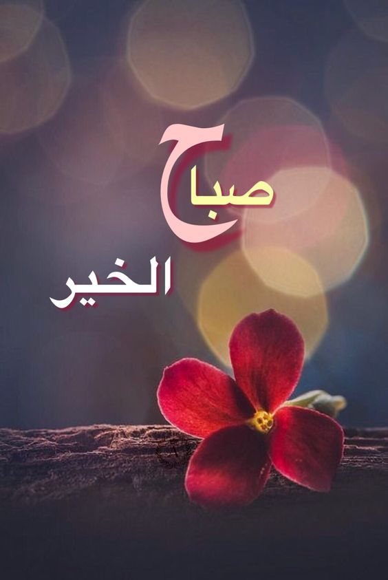 رسائل بداية الاسبوع