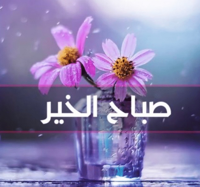 رسائل بداية يوم جديد