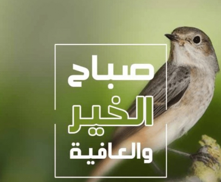 رسائل بداية يوم جديد