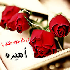 رسائل حب باسم اميرة