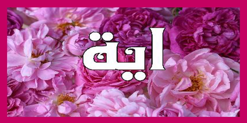 رسائل حب باسم ايه