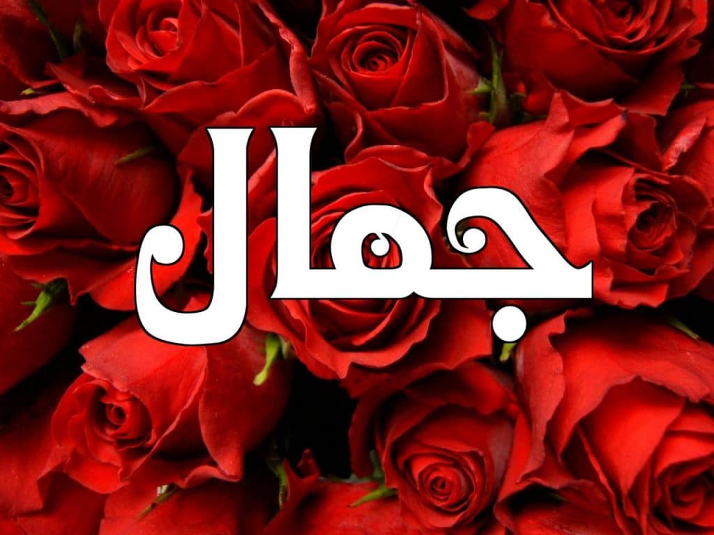رسائل حب باسم جمال