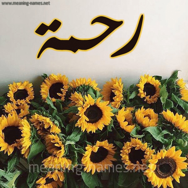 رسائل حب باسم رحمه