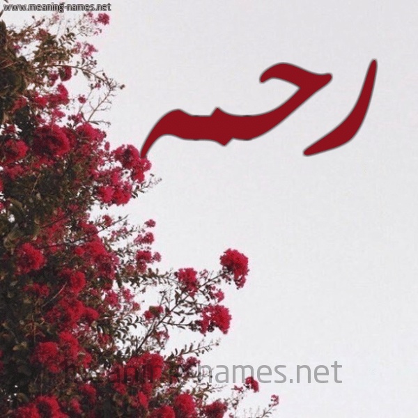 رسائل حب باسم رحمه