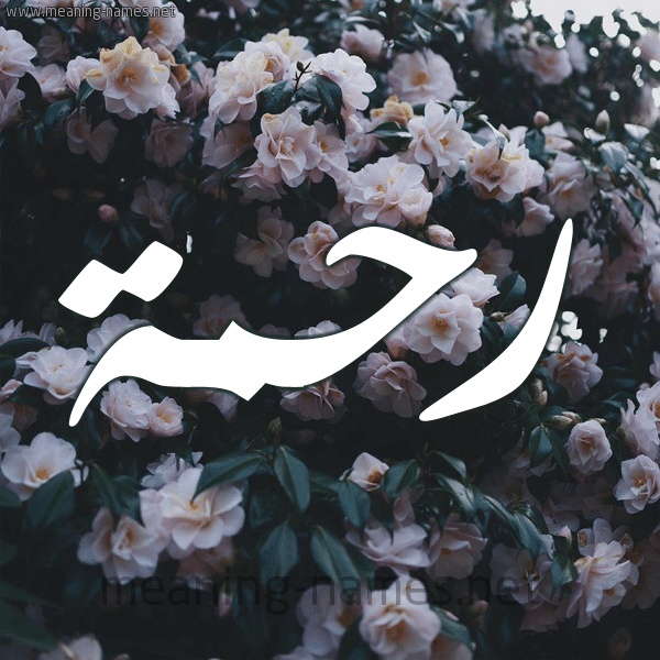 رسائل حب باسم رحمه