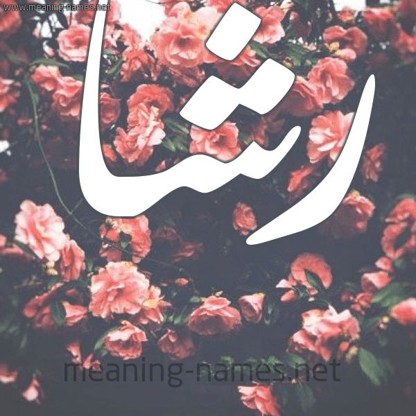رسائل حب باسم رشا