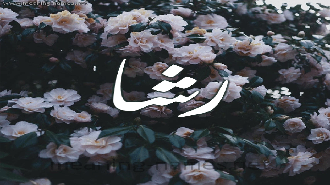 صورة رسائل حب باسم رشا
