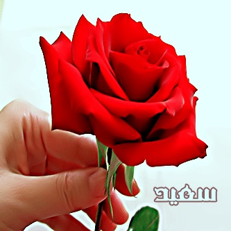 رسائل حب باسم زياد