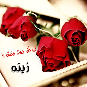 رسائل حب باسم زينة