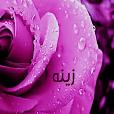 رسائل حب باسم زينة