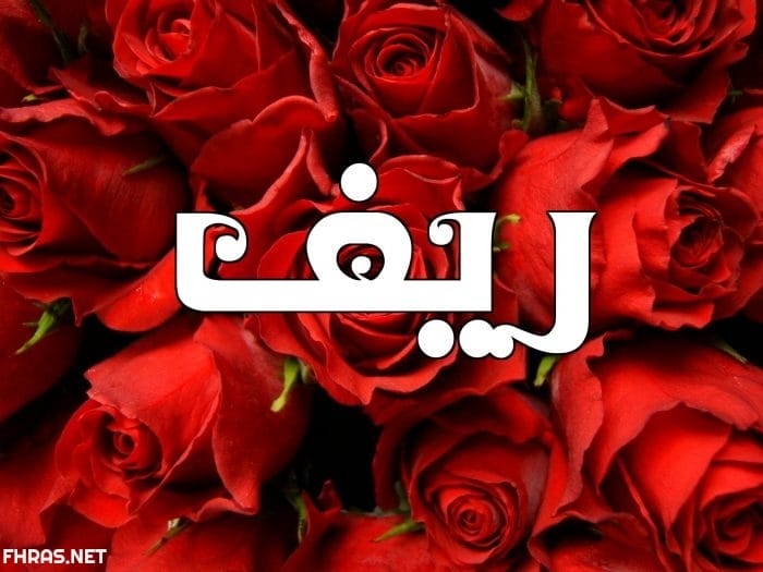 رسائل حب باسم سوسو