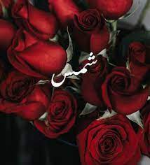 رسائل حب باسم شمس