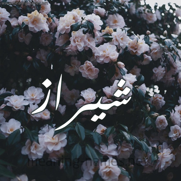 رسائل حب باسم شيراز