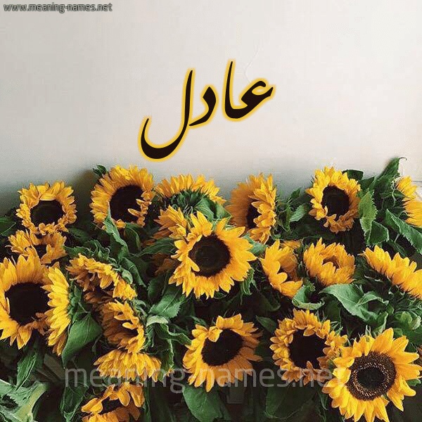 رسائل حب باسم عادل