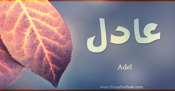 رسائل حب باسم عادل