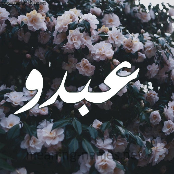 رسائل حب باسم عبده