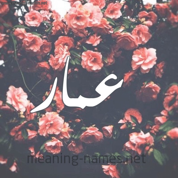 رسائل حب باسم عمار
