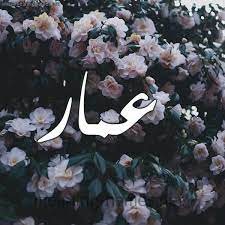 رسائل حب باسم عمار